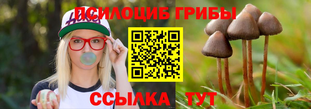 Галлюциногенные грибы Cubensis  Вход с VPN  Псилоцибиновые грибы MAGIC MUSHROOMS  Бердск 
